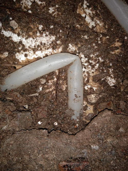 肃宁堵点精准查找